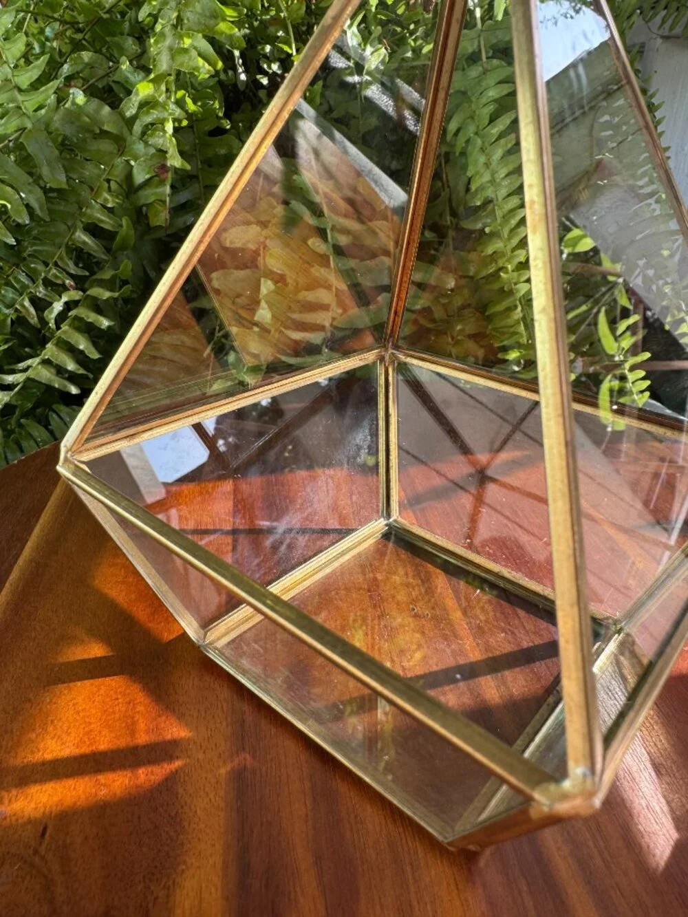 Geometric Glass Brass Planter, Tall Terrarium Container for Plants with Hook